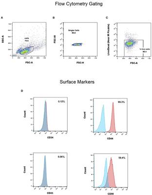 The effect of uterine-derived mesenchymal stromal cells for the treatment of canine atopic dermatitis: A pilot study